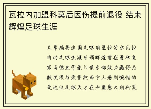 瓦拉内加盟科莫后因伤提前退役 结束辉煌足球生涯